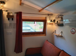 Chalet charmant avec piscine